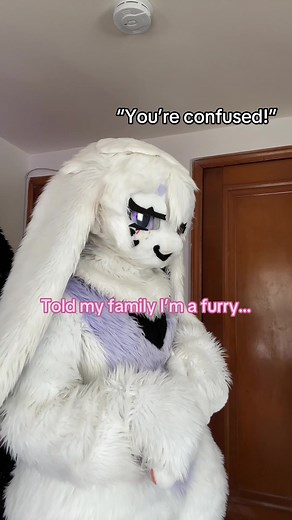 Furry Fandom & Family Confusion: A Viral Meme Explained