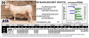 Lot 30: JMAR Genetics - Annual Bull & Female Sale