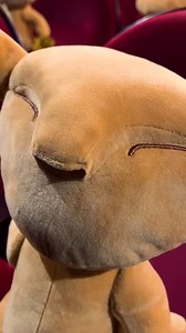 5.9K views · 99 reactions | Pour clore cette saison en beauté, quoi de mieux qu'un BEST OF de nos meilleurs moments passés ensemble ? 女 ❤️ LE ROI LION LE MUSICAL vous remercie pour tous ces instants de bonheur ! À très vite pour de nouvelles aventures ! | Le Roi Lion - Le Musical | Facebook