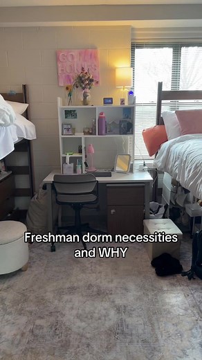 Essential Freshman Dorm Necessities for College Life