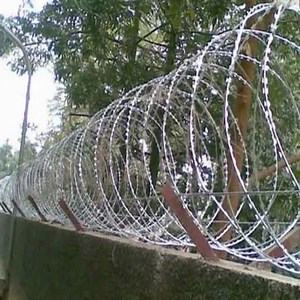 [Hot Item] Stainless Steel Cbt-60 Razor Wire Security Fencing