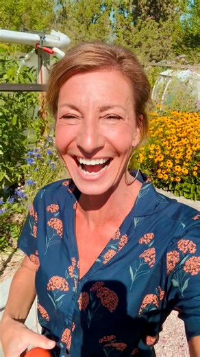 1.3K views · 177 reactions | Hot sunny day in my garden! 華 What are you harvesting this week? Tomatoes and basil for me  ! . . . . . . #nicoleapelian #aloneshow #plantmedicine #gardening #bendoregon #holistichealth #pnwgardening #centraloregon #highdesertgardening #capresesalad #oregongrown #oregongardening #tomatoes #bridgeandburn | Nicole Apelian | Facebook