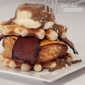 Fried chicken & waffle burger smothered in mashed potatoes & gravy because sometimes, dreams DO come true. 󾌧 | peta2