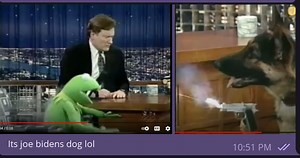 Joe Bidens Dog Shoots Kermit the Frog on Conan Obrien — Hive
