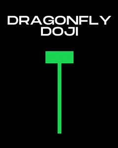 Dragonfly Doji Candlestick . . #dragonfly #doji #Candle #cryptocurrency #crypto #trading #cryptotrading #learn #tradeschool #candlestickpatterns #bitcoin #Ethereum #xrp #ada | Shah Faisal Shah