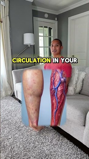 Seated Heel and Toe Raises for Beginners #circulation #homeworkout #beginnerworkout #fitnessforlife