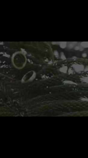 Surah Ar-Room Verse 21 | Beautiful Recitation 😍 | Chulbuli Larkiyan or Shararti Larky