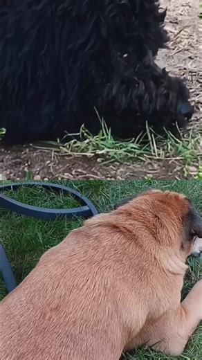 ☙Iheart4Avery☙ on TikTok