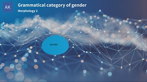 Grammatical category of gender