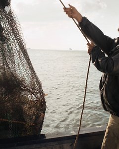 A completely unexpected catch of the day. 🐷 When Pigs Have Wings | Now streaming: https://sbson.app.link/WhenPigsHaveWings | SBS On Demand