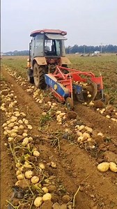 oZX : Farming Tools And Farming Equipment! #shorts #farming #agro #farmlife