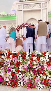 31K views · 3.7K reactions | Zafar supari on Reels | Facebook