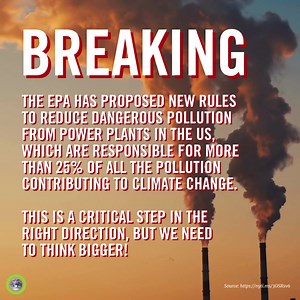 11 reactions | Climate Reality on Reels | Facebook