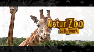 CET ÉTÉ, RESPIREZ NATURE ! Durant l’été, l'équipe de Natur'Zoo de Mervent vous accueille tous les jours de 10H à 19H pour une balade sauvage en famille ou entre amis dans un cadre naturel à la découverte de nos 300 pensionnaires, des grands félins 🦁 aux petits singes 🐒, en passant par les ours baribals, les majestueuses girafes ou encore notre couple de loutres d'Europe. Depuis 2021, venez découvrir une nouvelle espèce UNIQUE EN FRANCE vivant au Natur'Zoo de Mervent, le LYNX PARDELLE ! Prépare