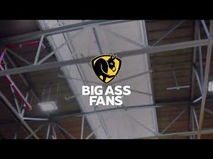 Comfort You Can Feel