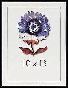 Frame USA Metal II Series 10x13 Frames for Photos and Art (Flat Black) | Choose Color and Size