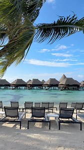 Your sign to add Hilton Moorea Lagoon Resort & Spa to your bucket list! 🌺🌴🐚🌞 #moorea #frenchpolynesia | The Daydream Drifters - Bucket List Travel