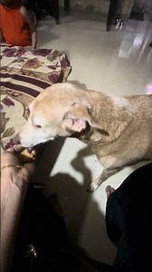 Had kr di h isne🤦🏼‍♀️ #shortsfeed #reels