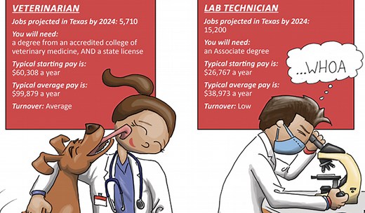 High School Endorsements and Career Paths: Labor Market and Career Information (LMCI) | Texas OnCourse