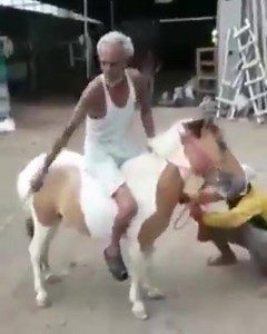 3K views · 54 reactions | Bc ladia ho gye  | Punjabi Desi Thug Life | Facebook