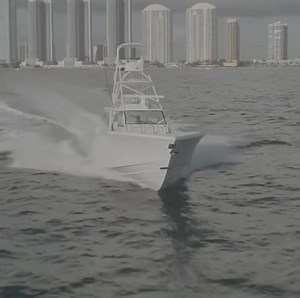 Saltwater Experience on Reels