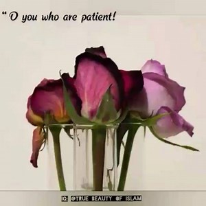 Beautiful recitation... Surah Ash - Sharh (The relief) #Quraan #WordOfAllah #Surah #chapter | Channel Islam International