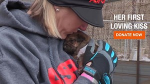640 reactions · 111 shares | Animal victims of cruelty and neglect may have never known love. But you can mend their broken hearts. Donate now to help give homeless and abused animals a warm bed, caring hands and their first loving kiss. Because every animal deserves to be loved. | ASPCA | Facebook