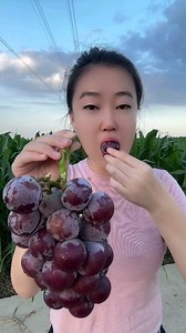 535K views · 8.1K reactions | Is it just me who finds it annoying?襤襤襤襤襤 Follow us to see more @birandadoga Daha fazlası için bizi takip edin @birandadoga . . . #TravelPhotography #PicOfTheDay #NaturePhotography #TravelBlogger #beautiful #landscape #adventure #explore #instatravel #trip #summer #photography #wanderlust #nature #instagood #fruit #vegetable #grape | Biranda Doğa | Facebook