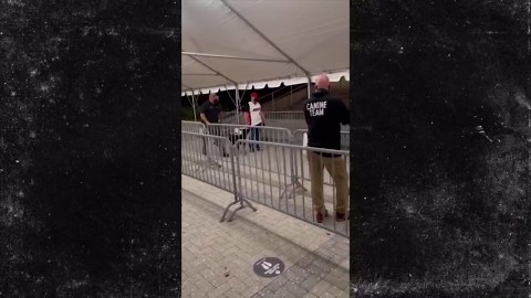 COVID-Sniffing Dogs Screen Fans at Miami Heat Game