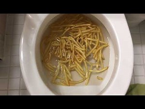 Will it Flush? - McDonald's French Fries