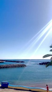 31 reactions | Hoje estamos assim no Praia da Calheta ❤️ #madeira #calheta #praia #visitmadeira #acontecemadeira | Café do Teatro | Facebook