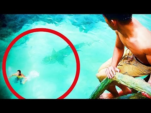 ★ 5 Attaques De Requin En Direct ! VIDEOS AUTHENTIQUES !