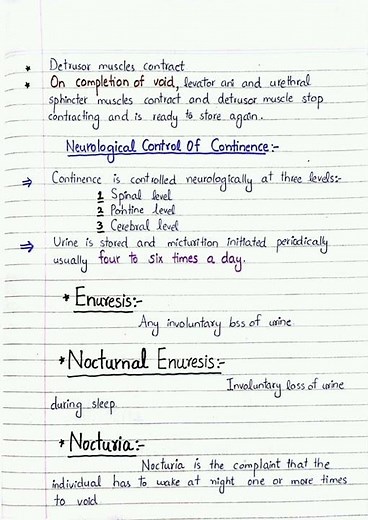 Urinary function and dysfunction Notes||OBSTETRICS & GYNECOLOGICAL PHYSICAL THERAPY Notes