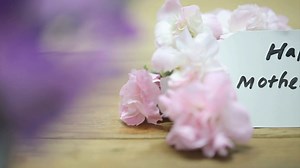 Mermaid Cottages Vacation Rentals, Tybee Island Georgia on Reels | Facebook