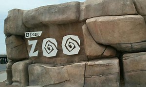 El Paso Zoo reopens after being closed during pandemic