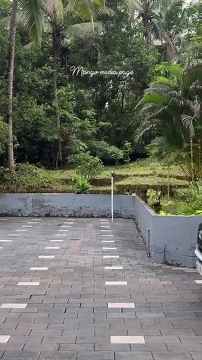 സ്വന്തം വീട്ടുമുറ്റത്ത് ചെറിയ രീതിയിൽ സന്തോഷം പങ്കുവക്കുന്നു അത്രയേ ഉള്ളൂ 👍🏼🌹 | Mango Media