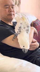 6.4K views · 680 reactions | ❤️ There's nothing like the bond...