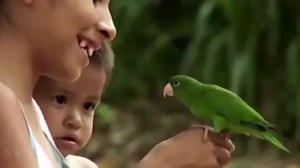 Armadillo-eating Amazonians live on the run from illegal loggers