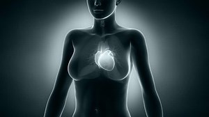 Woman Heart X-ray Vie Loop Stock Footage Video (100% Royalty-free) 4365386 | Shutterstock