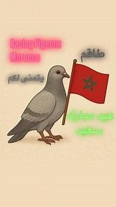 طاقم صفحة Racing Pigeons Morocco يتمنى لكم عيد مبارك سعيد 💚❤️💚❤️💚 | Racing Pigeons Morocco