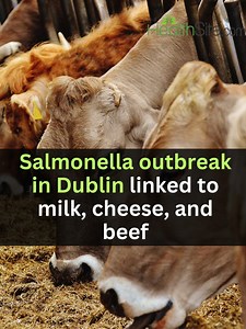A dangerous strain of bacteria commonly found in cows, Salmonella Dublin, is becoming more resistant to antibiotics, raising serious concerns for human health. Researchers at Penn State University have warned that this superbug is increasingly being transmitted to people through dairy products like milk and cheese, as well as beef. As the infection grows stronger and harder to treat, experts fear it could soon become nearly untreatable if not addressed quickly. | Thehealthsite.com