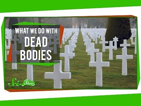 What We Do With Dead Bodies