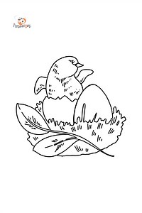 Chick in the Nest coloring page ♥ Online and Print for Free!