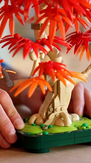 LEGO Botanical Japanese Red Maple Bonsai Tree | Toys24.gr