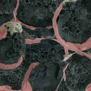 Eric Chenaux Vinyl Records & CDs For Sale | Norman Records