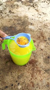 6K views · 1.8K reactions | CARA MEMBUAT PESTISIDA NABATI DARI KUNYIT #pestisida #pesnab #pestisidanabati #pestisidakunyit #kebunorganik #berkebundilahansempit | Elok Arumsari | Facebook