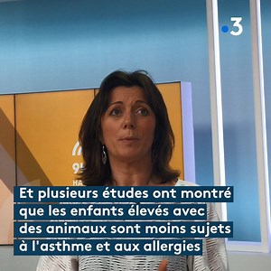 Non, on n'abandonne pas son chien ou son chat au moment d'une grossesse... Une femme enceinte et un animal de compagnie peuvent faire bon ménage si l'on prent quelques précautions... Nathalie Lavieille, la chroniqueuse vétérinaire de 9h50 Le matin, vous dit tout | France 3 Picardie