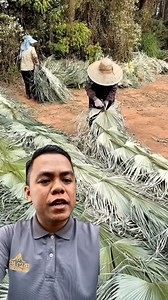 #fyp #Baby #movies #love #movietime #story #storytelling #chinesedrama #kids #fypシviralシfypシ #fypageシ #foryoupageシforyou #crafts #shares #Videos #views #knowledge #technology #entertainment #shareideas #development #DIY | Trak Noeng