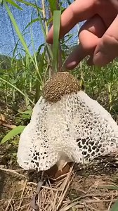 How amazing is nature #naturelovers #inspiration #beautiful | Deep Feelings