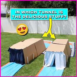 118K views · 502 reactions | Treating Ourselves With This DELICIOUS Waterslide  | Dangie Bros | Facebook